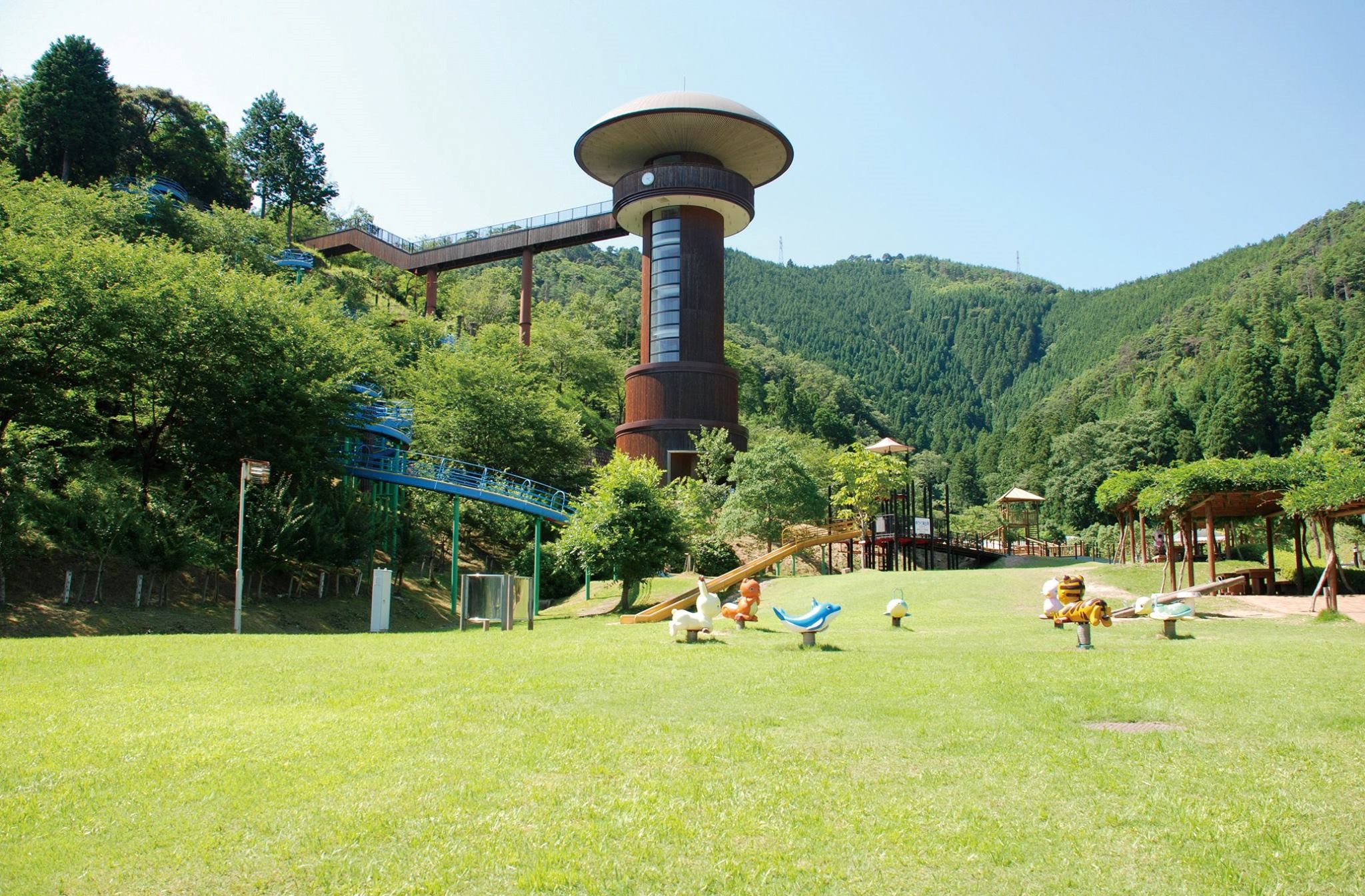 福井県おおい町様（きのこの森）